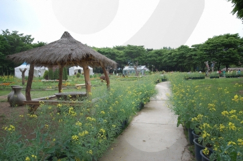 Seoul Grand Park (서울대공원-서울동물원)