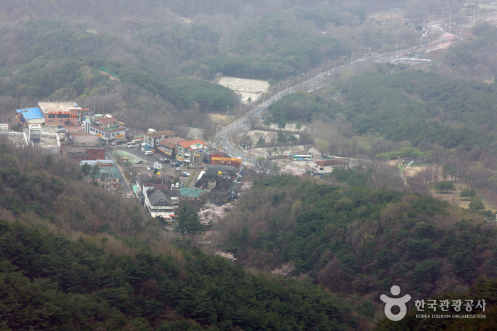 八公山自然公園(笠岩地區)(팔공산자연공원(갓바위지구))