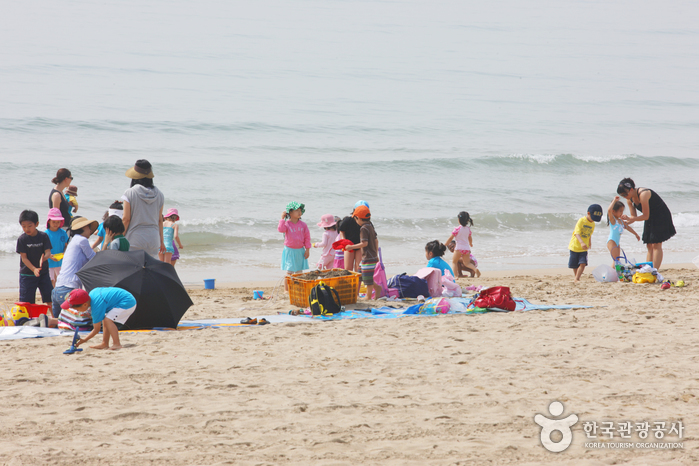 Songjeong Beach (송정해수욕장)