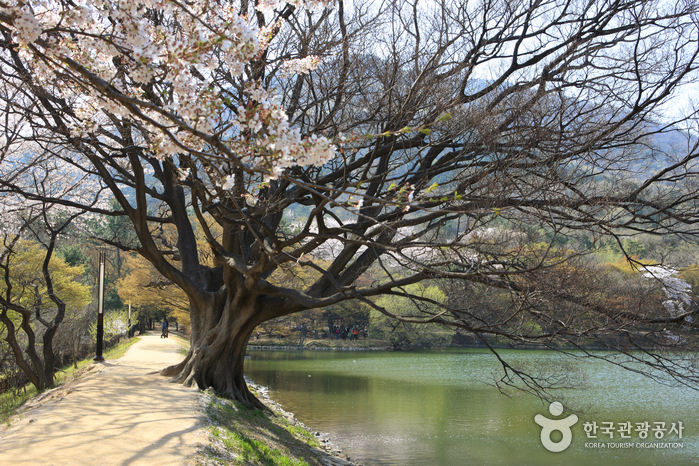 Jinhae NFRDI Environment Eco-Park (진해내수면 환경생태공원)