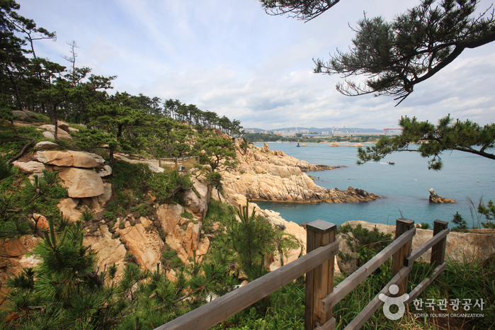 Daewangam Park (대왕암공원)