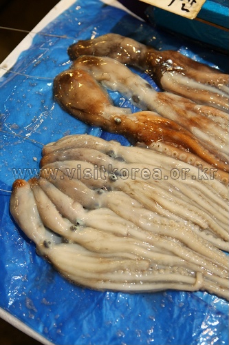 Noryangjin Fisheries Wholesale Market (노량진수산시장)
