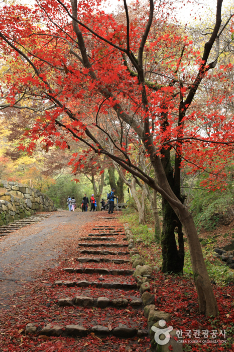 Jeungsimsa Temple (증심사)