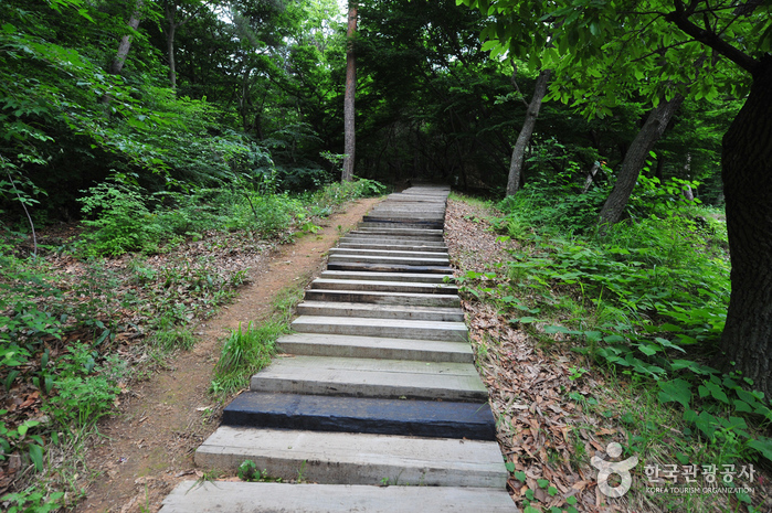 Yonggungsa Temple (Incheon) (용궁사 - 인천)