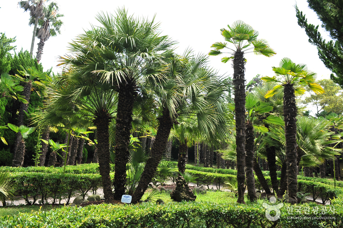 Hallim Park (한림공원)