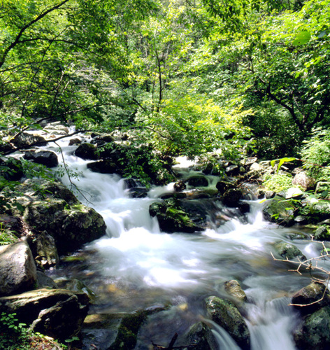 태백산 국립공원 사진9