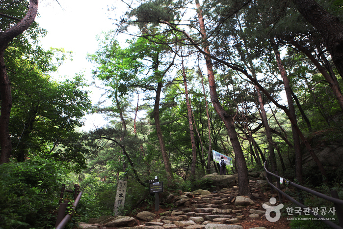 金仙寺(首尔)금선사(서울)