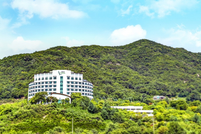 Cheongpung Resort (청풍리조트)