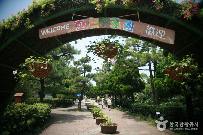 한림공원 수국꽃축제 2013