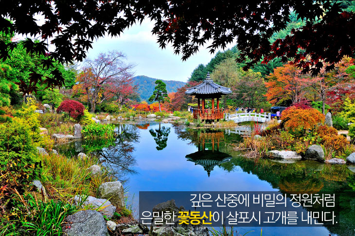깊은 산중에 비밀의 정원처럼 은밀한 꽃동산이 살포시 고개를 내민다.