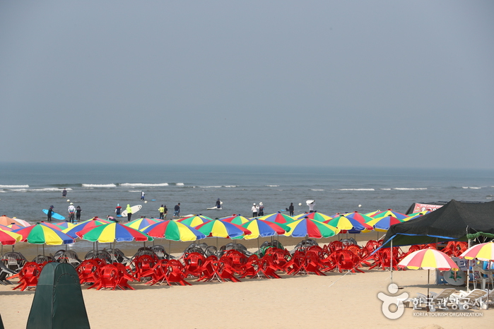 鎮海内水面環境生態公園（진해내수면 환경생태공원）