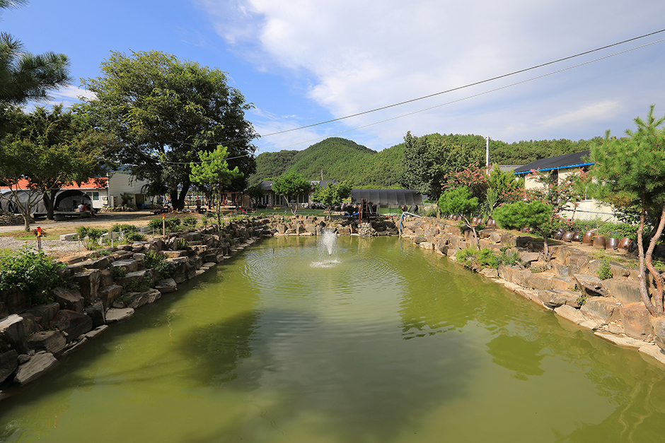 코끼리관광농원캠핑장_연못