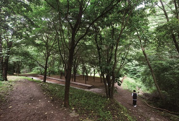 座亀山自然休養林