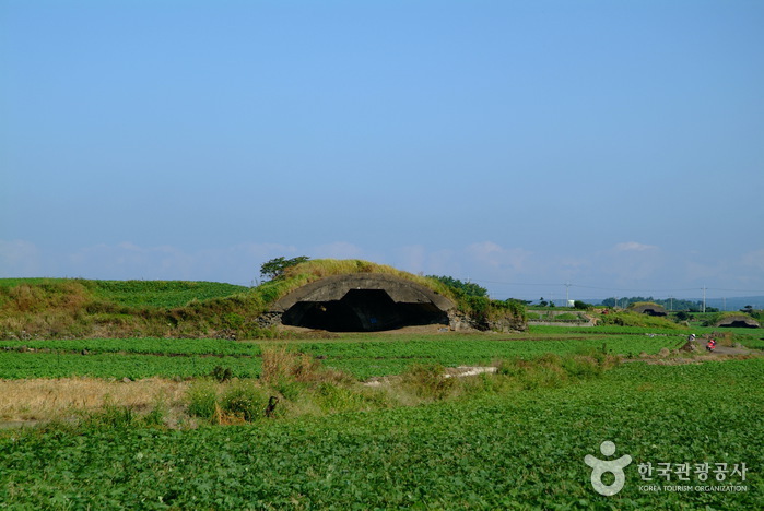 [제주올레 10코스] 화순-모슬포 올레6