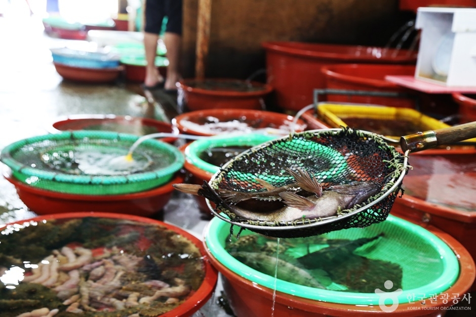 Woljeon Fish Market (월전 활어판매장)