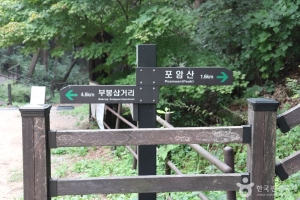 포암산(충주) (8)_e