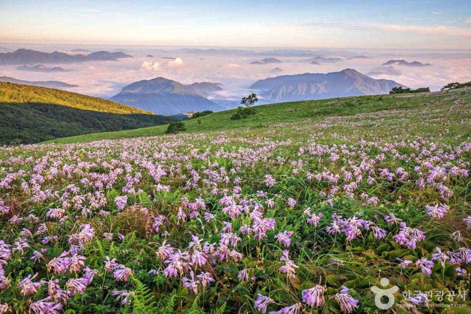 소백산국립공원(북부)