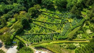 무궁화수목원 (3)