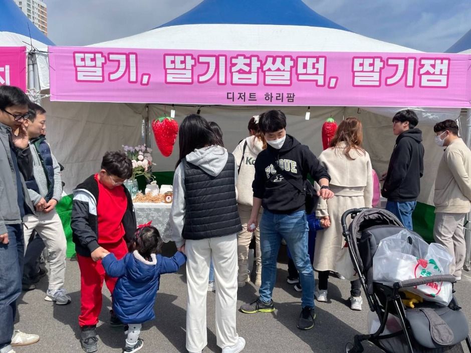 Wanju Samrye Strawberry Festival (완주삼례딸기대축제)