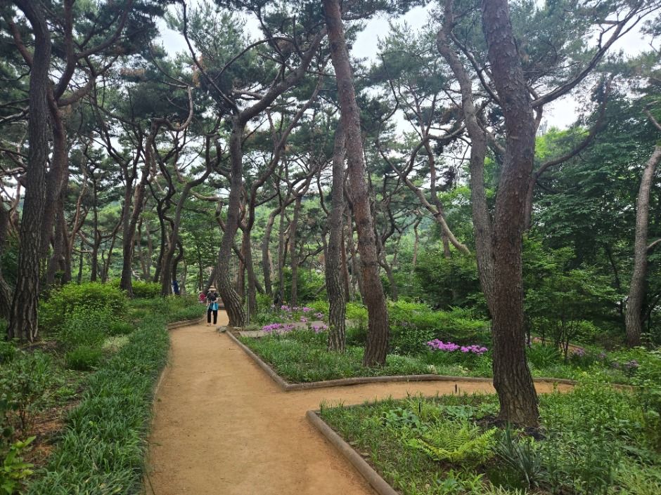 아차산