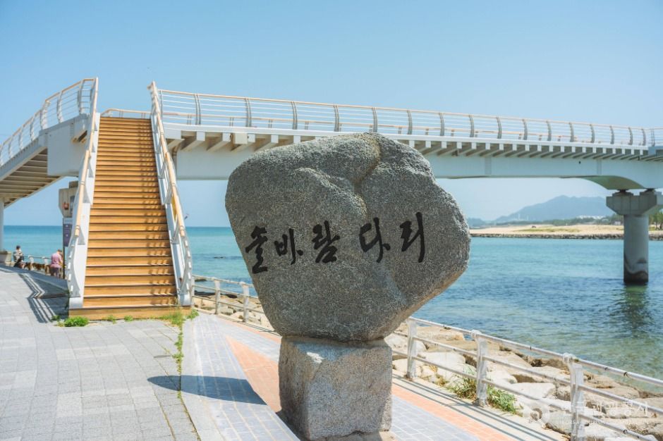 강릉_해파랑길 39코스 (1)
