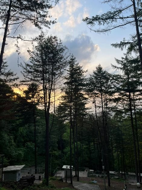 춘천숲자연휴양림