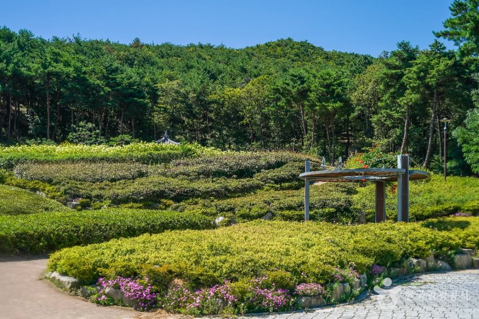 운제산산림욕장