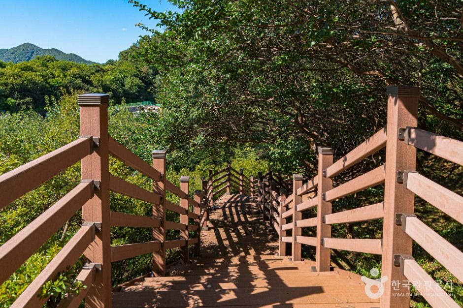 전주_완산칠봉(완산공원) (4)