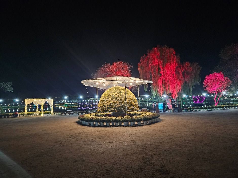 2025 백제고도부여국화축제 6
