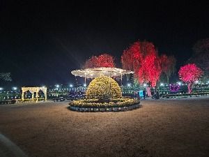 2025 백제고도부여국화축제 6