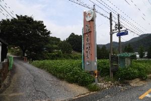 부여_거전마을 (2)