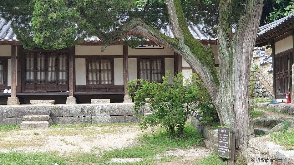 thumbnail-가평 연하리향나무-3