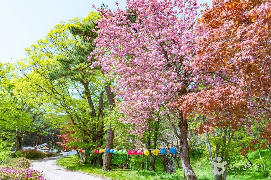 당진_영탑사(당진) (5)