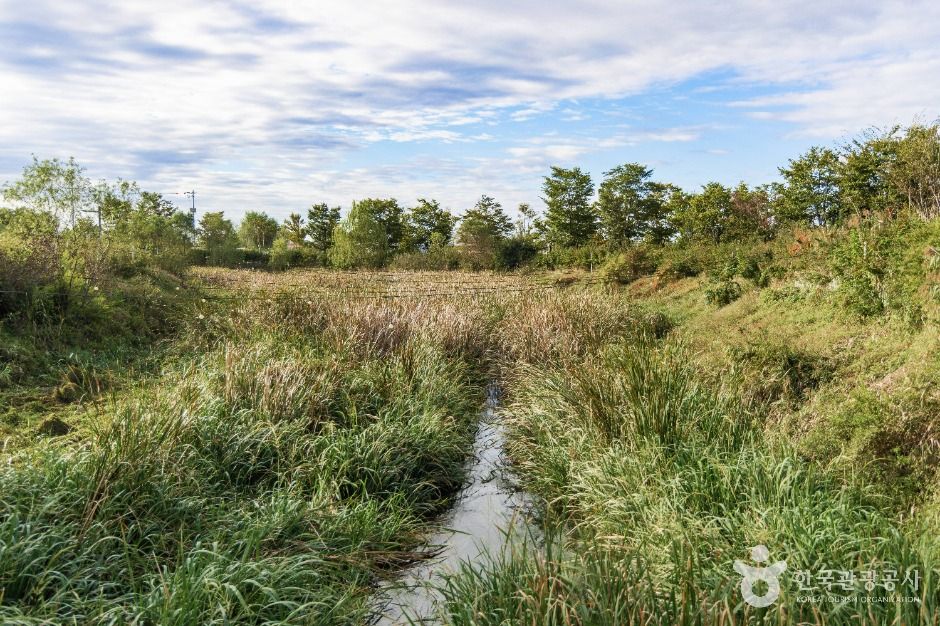 익산_유천생태습지공원 (5)