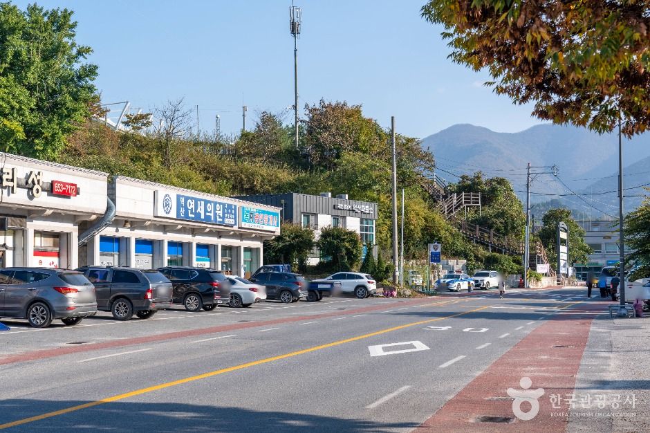 월악산 약초마을