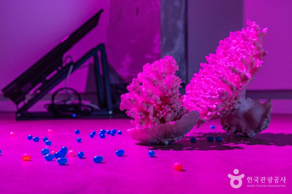 아트센터 예술의 시간