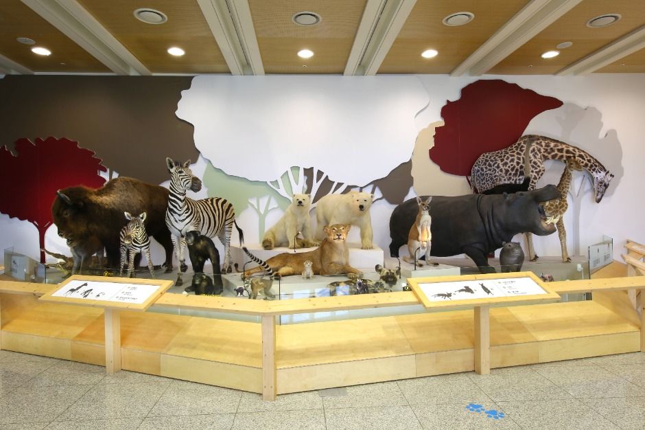 상주_국립낙동강생물자원관 (6)