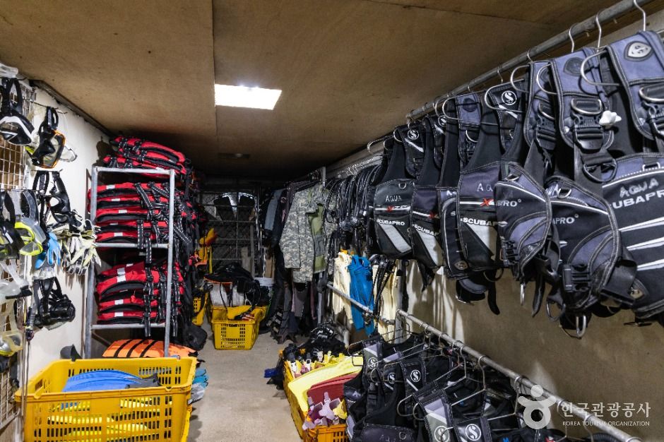 울릉아쿠아캠프