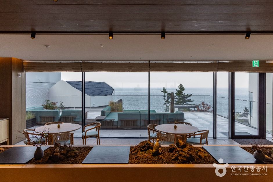 울릉_코스모스 울릉도 (4)