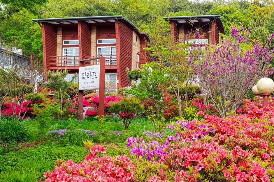 태안_밀라트_외부 (2)