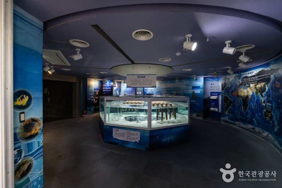 통영수산과학관