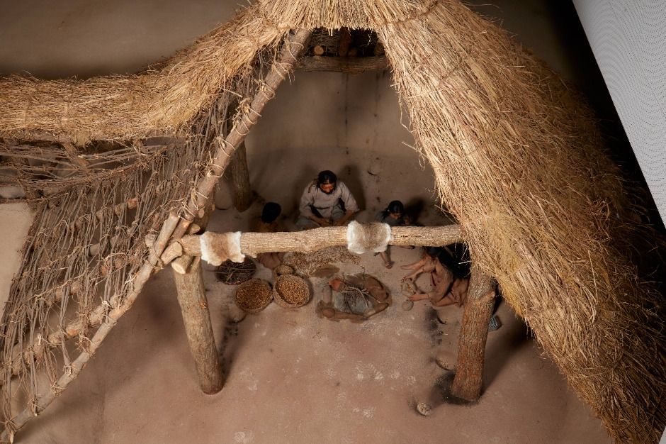 서울 암사동 유적