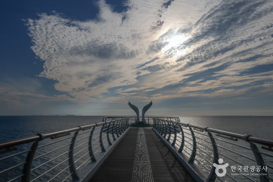 영광_백수해안도로 (4)