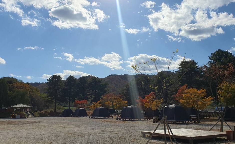 철원_유곡리평화마을캠핑장 (3)