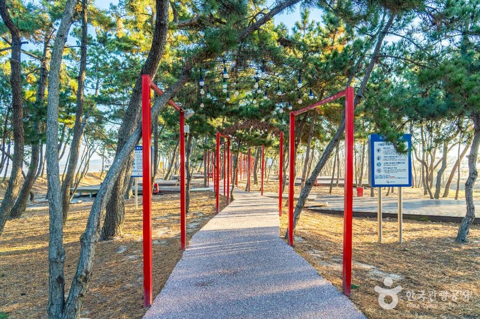 무안_무안낙지공원 (8)