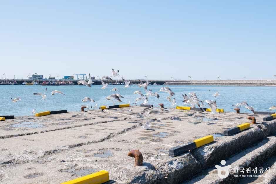 thumbnail-남당항-7