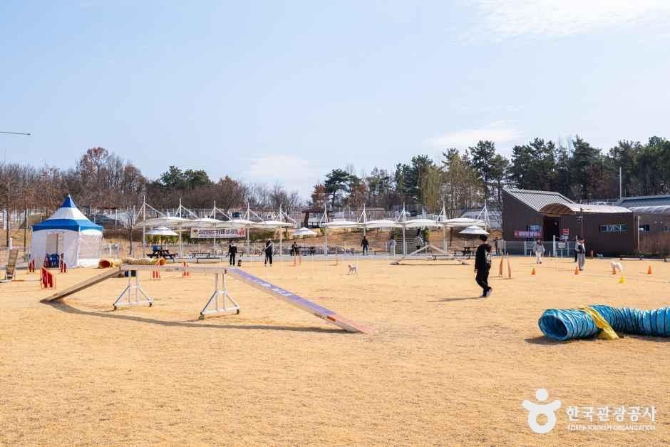 thumbnail-의성 펫월드-14