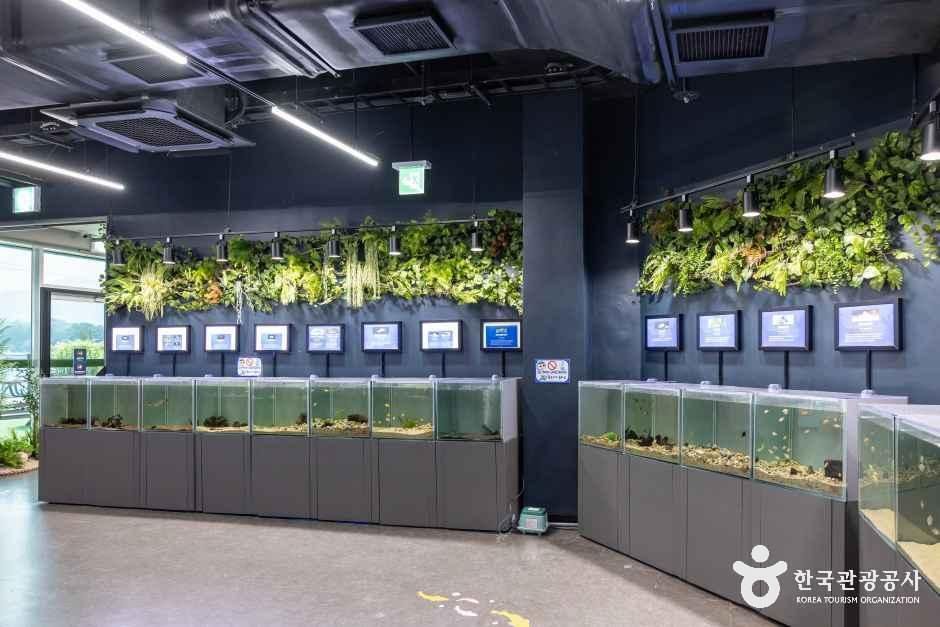 thumbnail-충북아쿠아리움-1