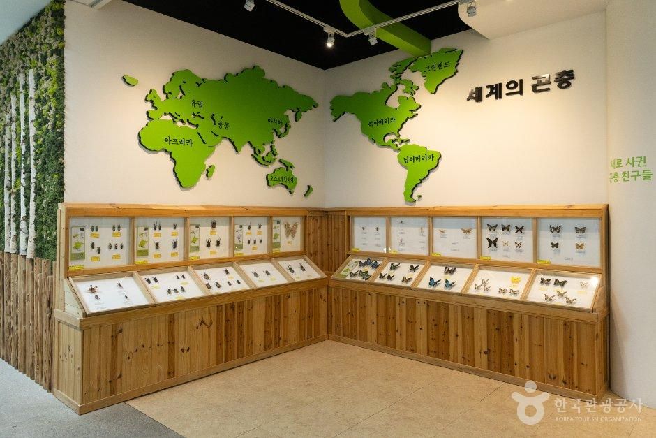 thumbnail-대전곤충생태관-10