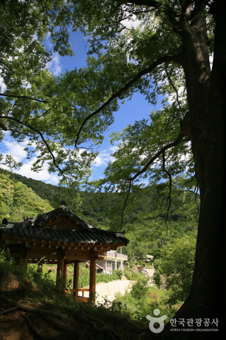 Gudam Village